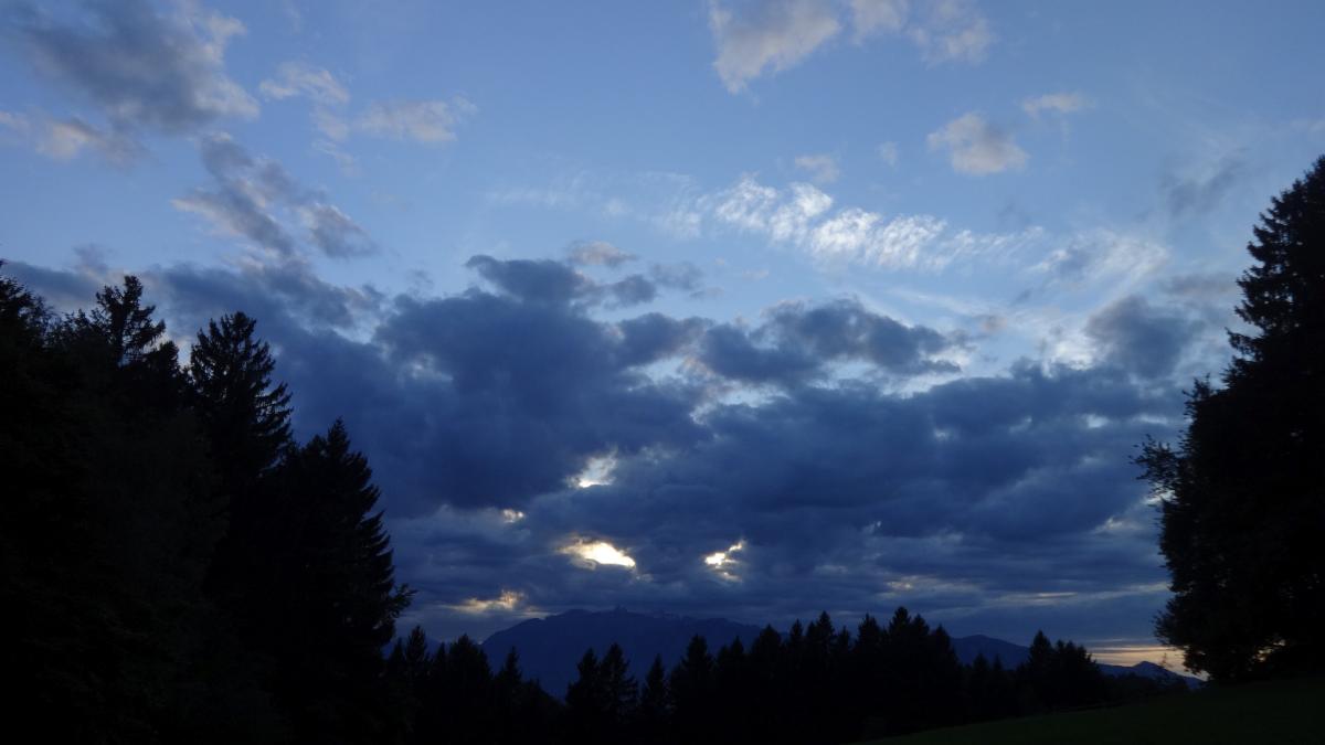 DSC08888
