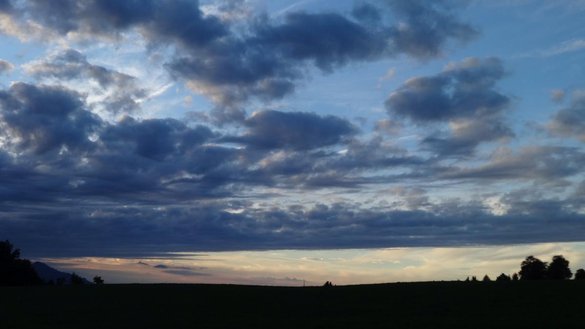 DSC08904