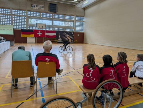 WhatsApp-Image-2026-03-22-at-19.09.31