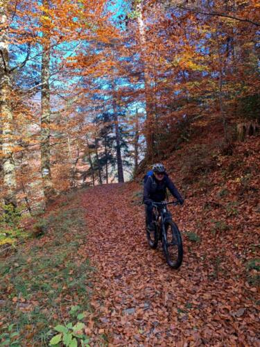 Abfahrt durchs Herbstlaub II