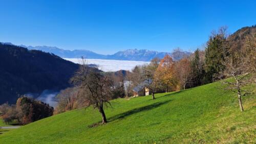 Blick auf die Nebeldecke im Rheintal und den Hohen Kasten