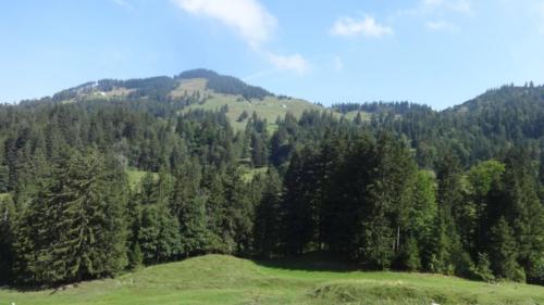DSC01358