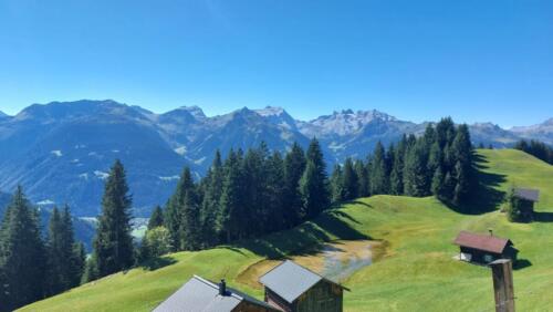 IMG-20240910-WA0012