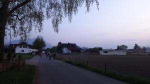 DSC05377