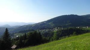 DSC06169